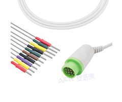 A4343-EE0 GE Gezondheidszorg Compatibel EKG Kabel Ronde 12-pin 10KΩ IEC Din3.0