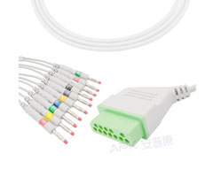 A4036-EE1 Nihon Kohden Compatibel EKG Kabel 12-pin Nihon Kohden Connectorr AHA Banana