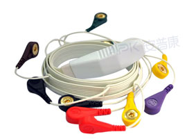 A1062-EC0 Mortara Compatibel Hr12 ECG Holter Kabel 10-lead Kabel Snap, IEC